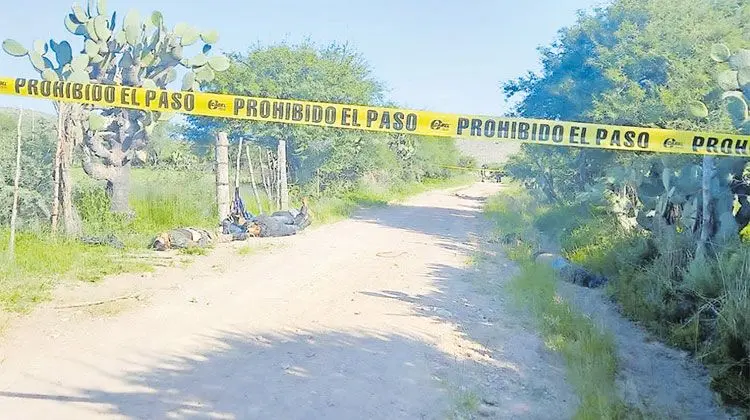 Hallan siete cuerpos en Jerez, Zacatecas JEREZ, ZACATECAS, 11SEPTIEMBRE2022.- La mañana de este domingo, fueron localizados los cuerpos sin vida de 7 personas en la comunidad de Los Juárez. Al rededor de las 9 am pobladores descubrieron la macabra escena e informaron al 911, autoridades llegaron al lugar y confirmaron el hecho. Los hombres tenían impactos de bala y quedaron a los costados de una brecha que conduce al lienzo charro de la comunidad, a unos 15 minutos de la cabecera municipal, sobre la carretera 23 Jerez-Fresnillo. Elementos de policía estatal acordonaron el lugar para esperar la llegada de policías de investigación y peritos de la Fiscalía General de Justicia del Estado para realizar las primeras diligencias, trasladar los cuerpos al Semefo e identificar a las personas. Cabe mencionar que durante las últimas semanas, comunidades entre Fresnillo y Jerez han sido testigos de enfrentamientos armados entre grupos criminales.
FOTO: ESPECIAL /CUARTOSCURO.COM