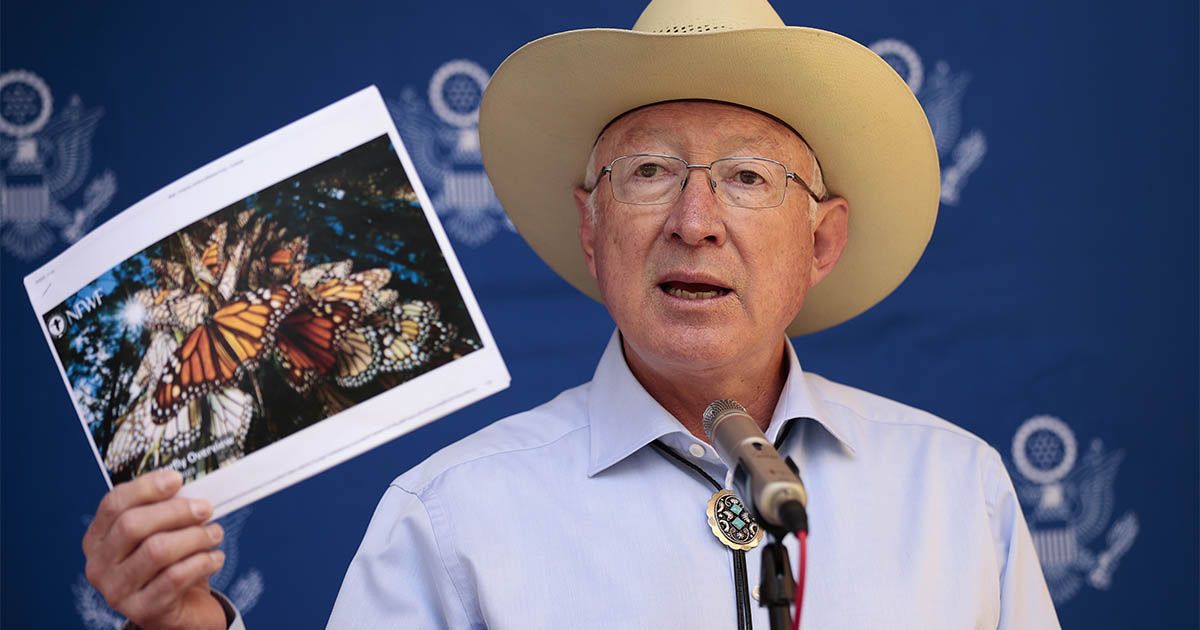 Insiste Ken Salazar en aumentar esfuerzos en medioambiente MEX5888. CIUDAD DE MÉXICO (MÉXICO), 08/02/2023.- El embajador de Estados Unidos en México, Ken Salazar, habla hoy durante una rueda de prensa en Ciudad de México (México). Salazar explicó este miércoles en conferencia de prensa que es necesario que ambos países aumenten los esfuerzos para proteger el medioambiente e inauguró en su residencia un jardín polinizador para contribuir a la conservación de la mariposa monarca. EFE/ José Méndez