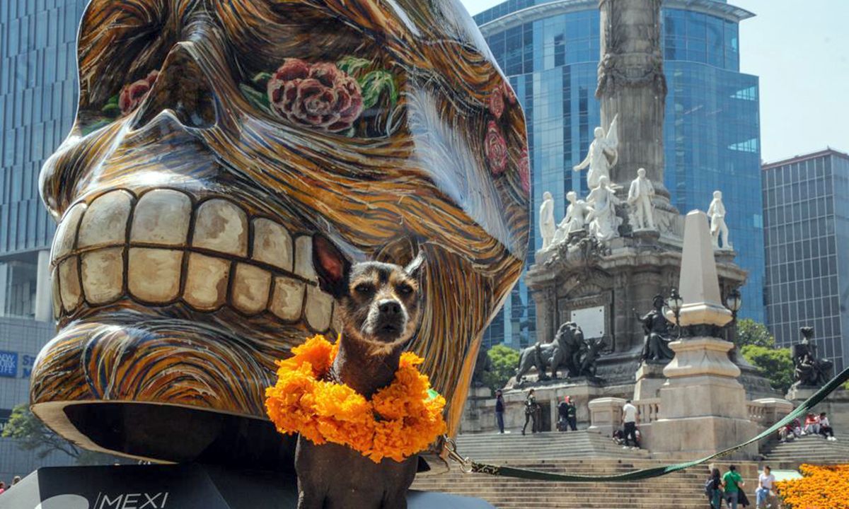 Día de Muertos en Paseo de la Reforma con los Mexicráneos 2023 (galeria) Día de Muertos en Paseo de la Reforma con los Mexicráneos 2023 (galeria)