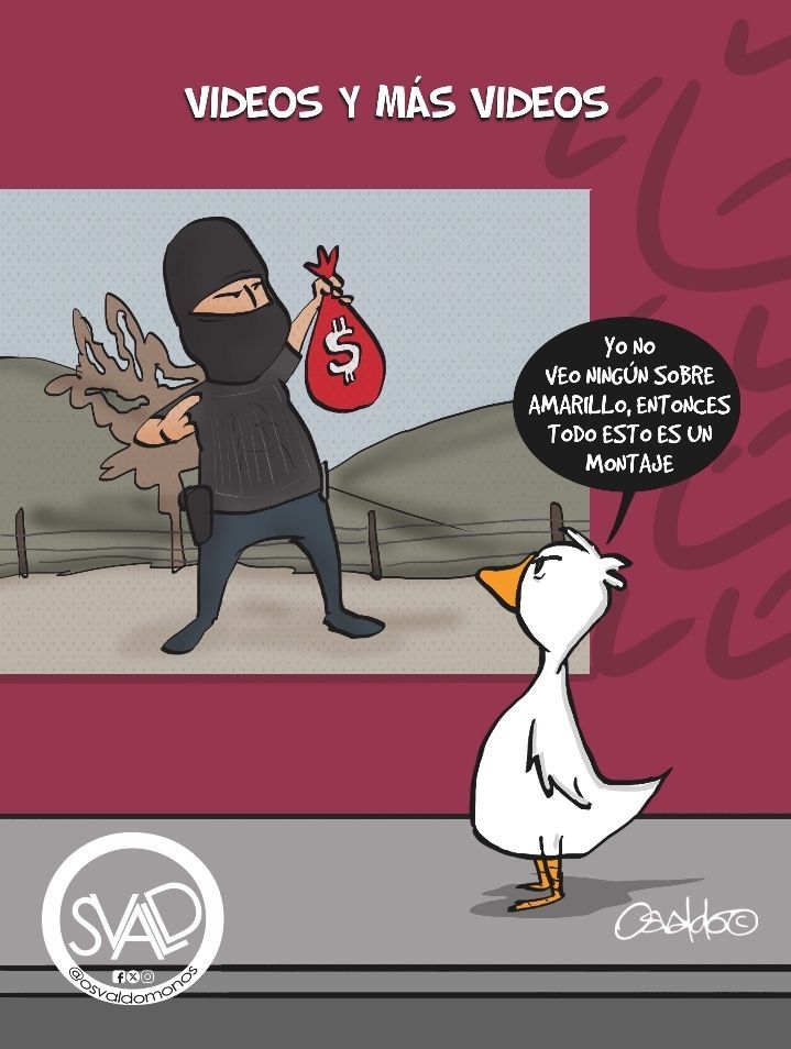 Videos y más videos