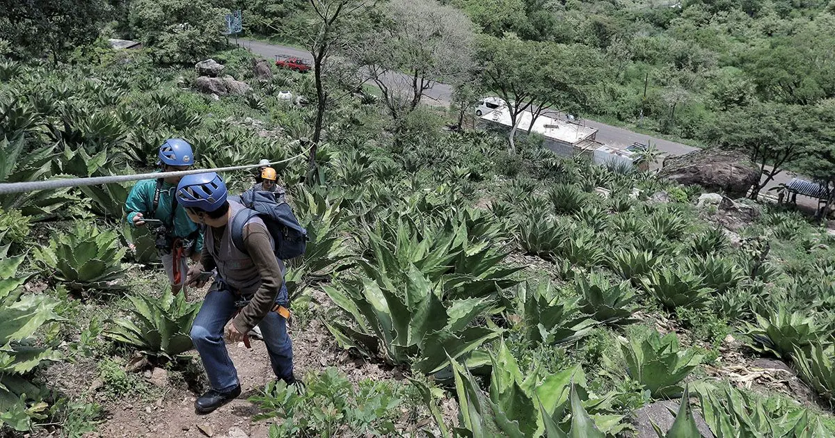 Ruta del Mezcal Michoacano, ecoturismo en su máxima expresión ETUCUARO CELEBRA 3 AÑOS CON SU TIROLESA Y A ETO SE AÑADE EL PUENTE COLGANTE Y EL COLUMPIO AL VACIO PARA QUE LOS TURISTAS DISFRUTEN AL MAXIMO LA EXPERIENCIA