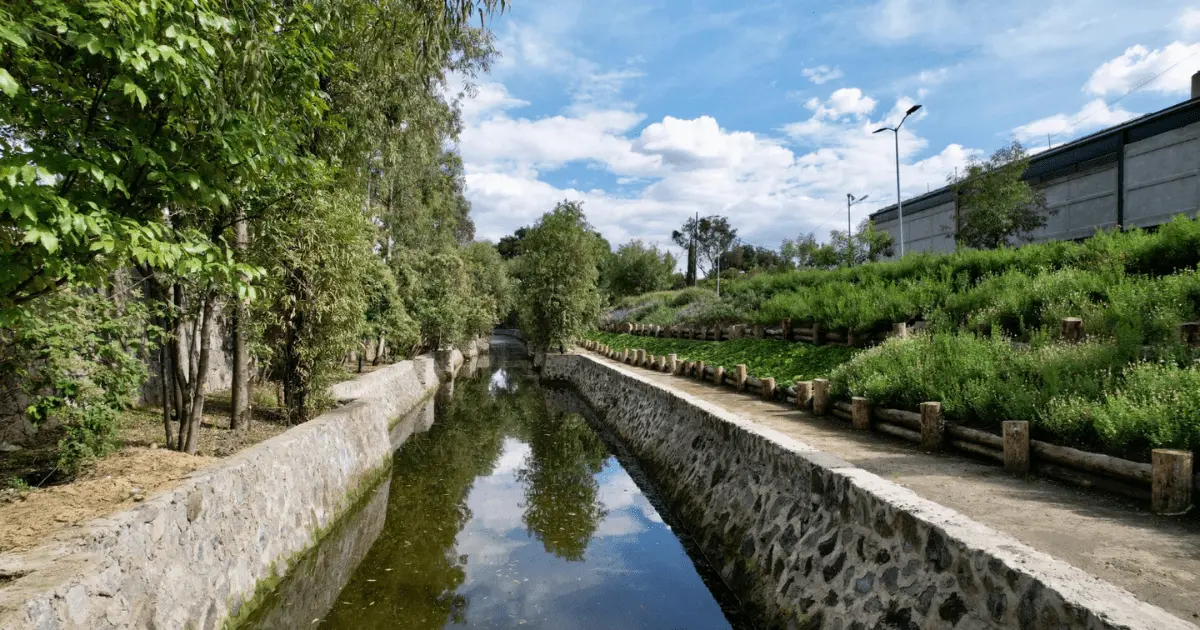 Canal Nacional: SEDEMA lanza nuevo Programa de Manejo del Área de Valor Ambiental Secretaría del Medio Ambiente