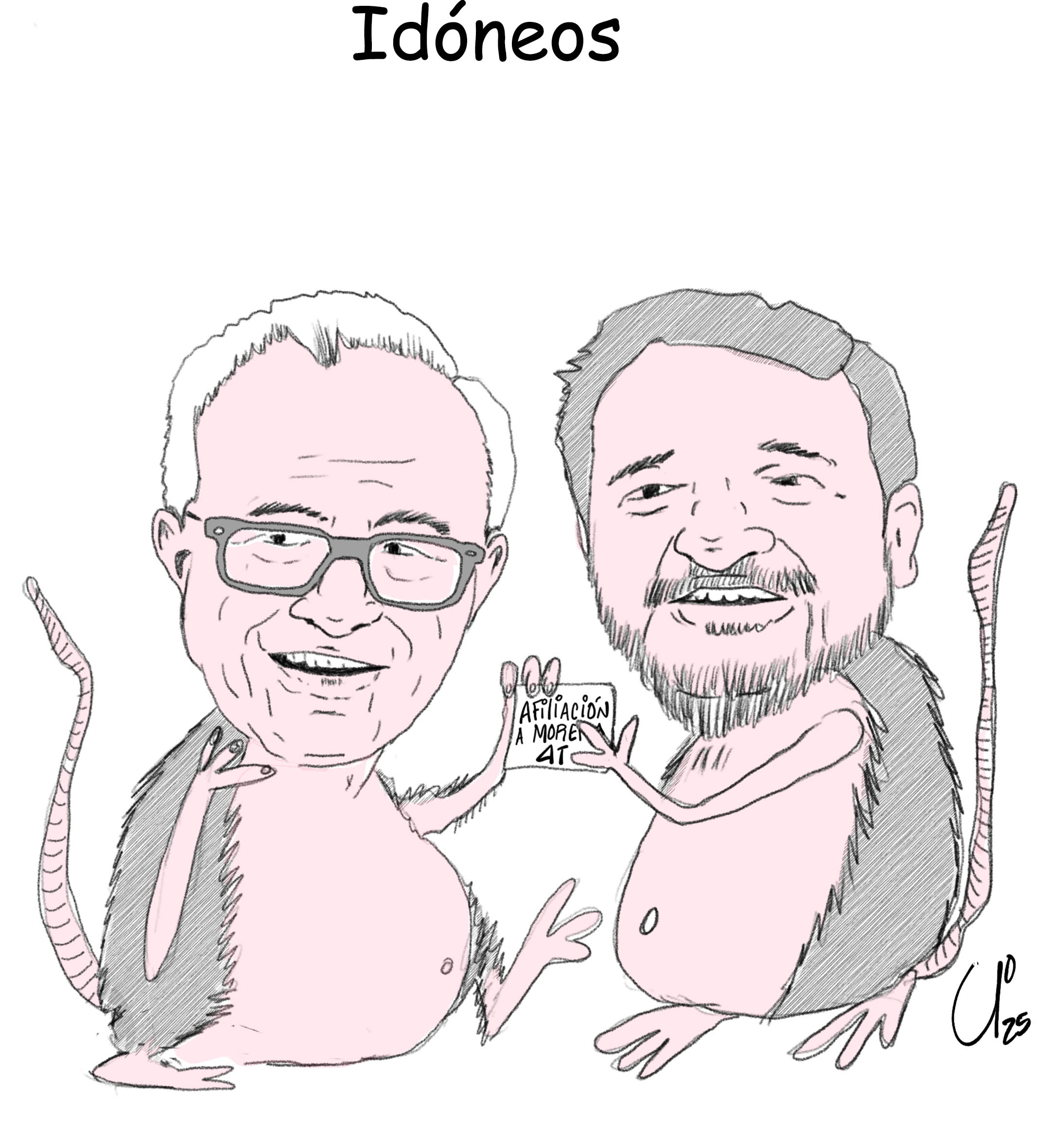 Idóneos