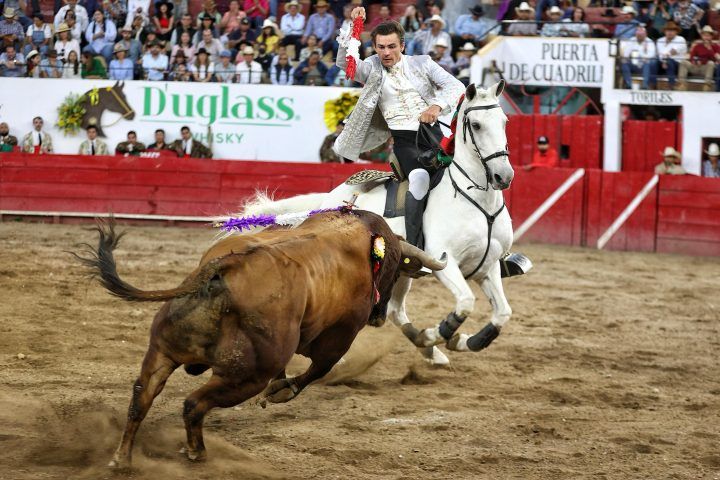 Fauro Aloi
