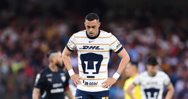 Pumas