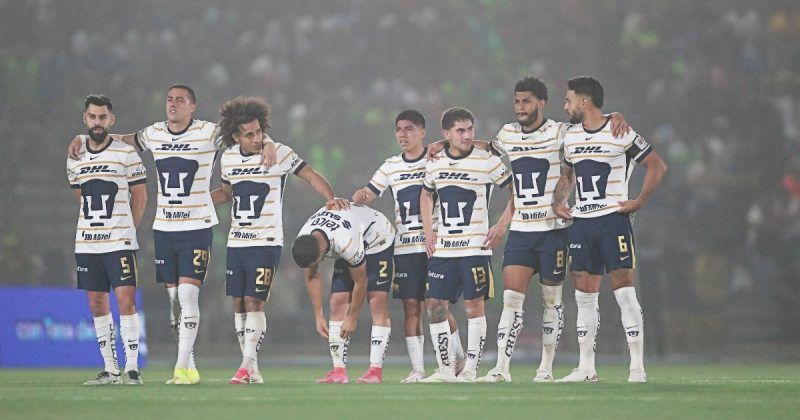 Pumas