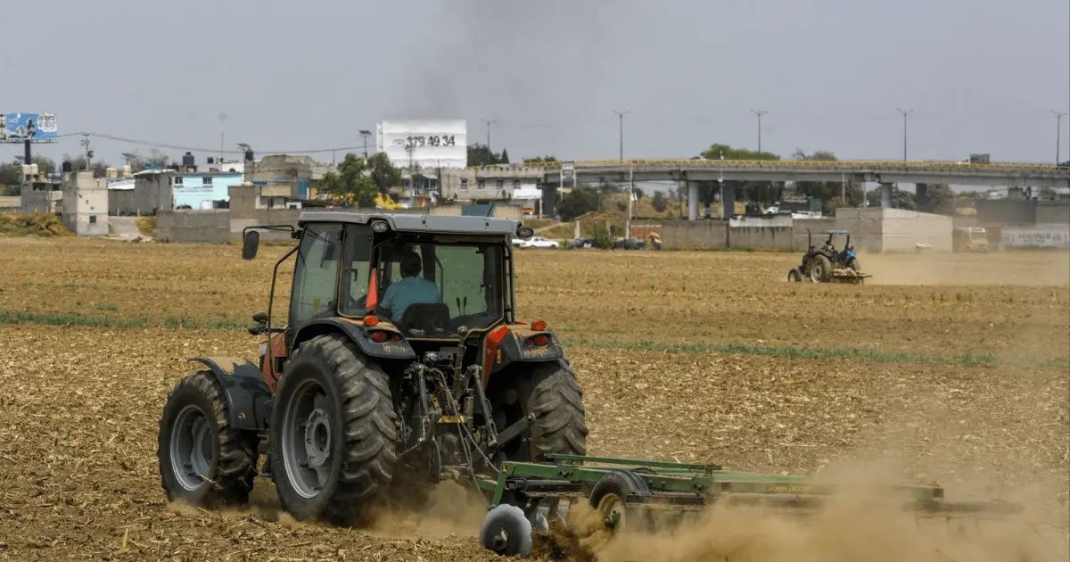 Gobierno hará inversión de 54 mil millones de pesos para la autosuficiencia alimentaria Foto: Cuartoscuro
