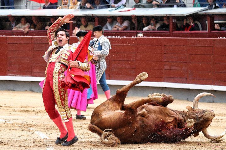 Imagen