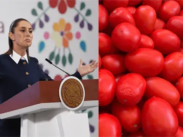 Imagen de la nota: El jitomate mexicano seguirá exportándose pese a arancel: Sheinbaum; se impulsa acciones de apoyo a productores