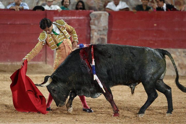 Imagen