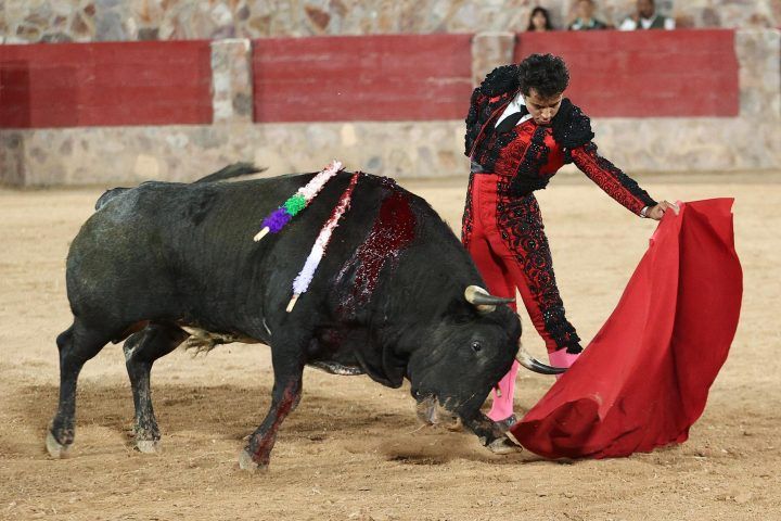 Imagen