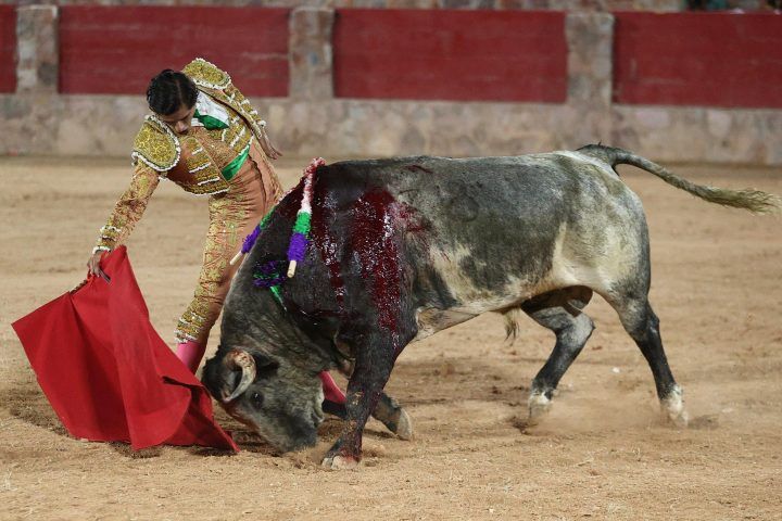 Imagen