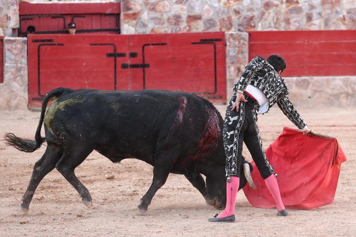 Imagen