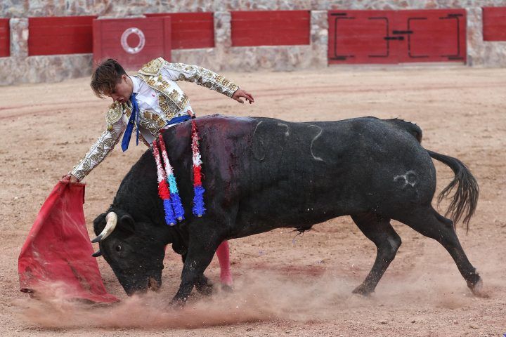 Imagen