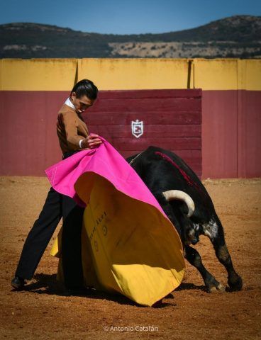 Imagen