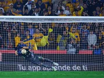 Imagen de la nota: Tigres a la gran final tras eliminar a La Máquina