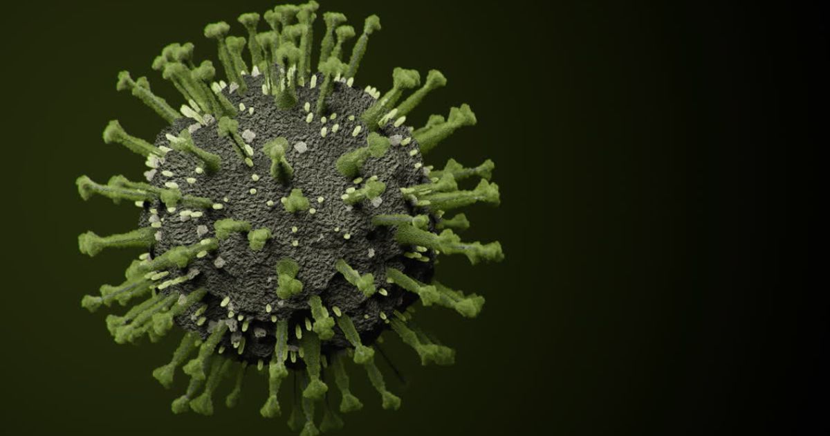 Secretaría de Salud reporta primer caso de Influenza A H3N2 subclado K en México; refuerza vigilancia Secretaría de Salud reporta primer caso de Influenza A H3N2 subclado K en México; refuerza vigilancia