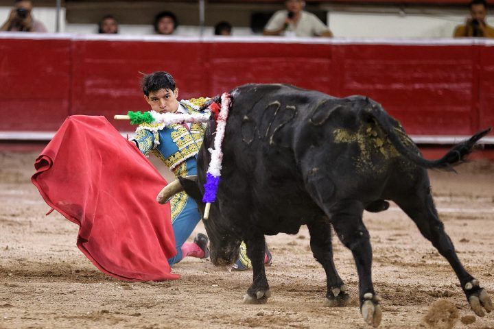 Imagen