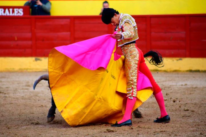 Oreja para Ignacio Garibay en Valdetorres de Jarama.