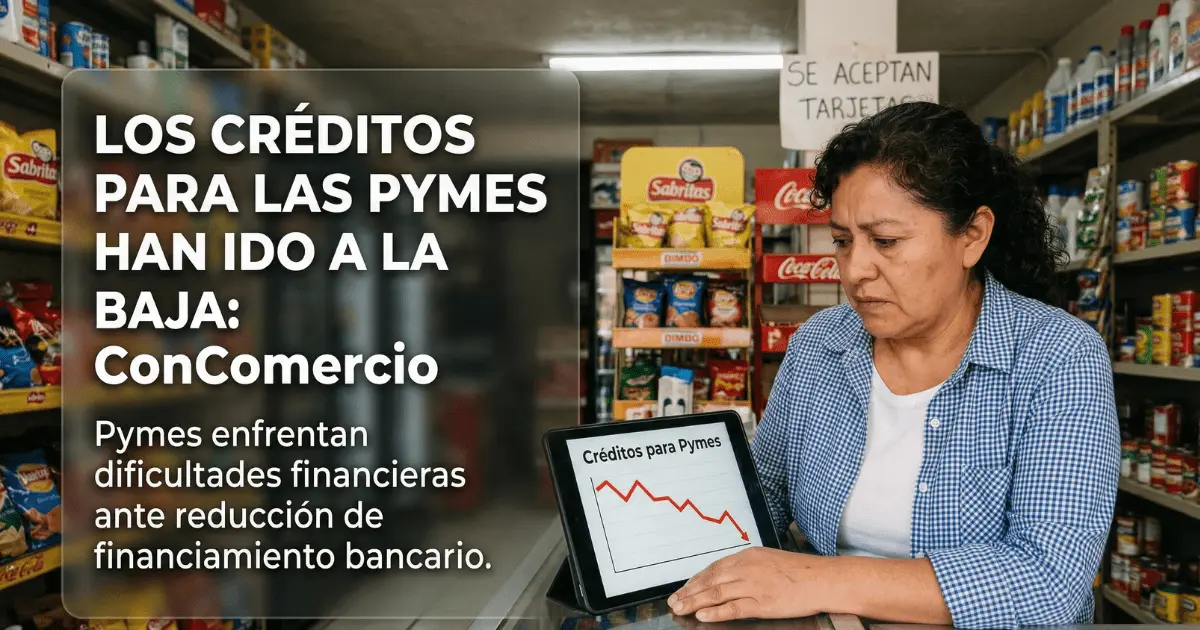 Los créditos para las Pymes han ido a la baja: ConComercio Imagen ilustrativa realizada con IA Gemini