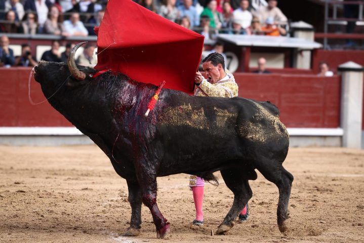 Imagen