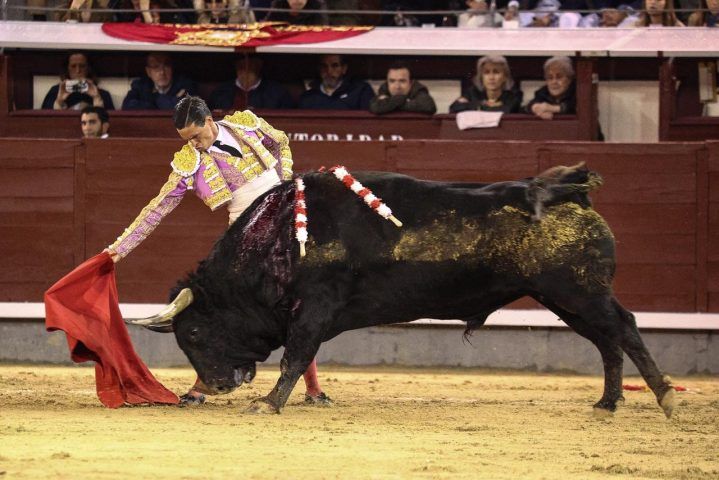 Imagen